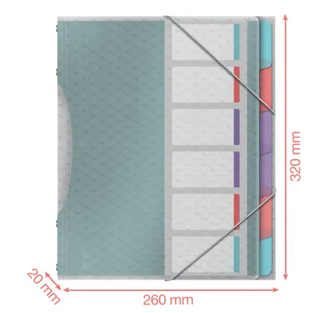 Esselte Colour'Breeze Esijärjestin PP 6 välilehteä