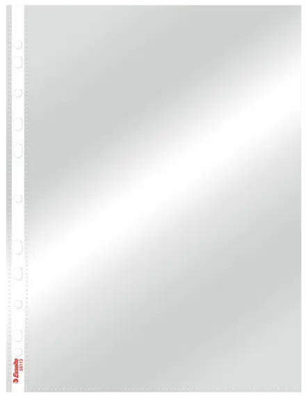Карман с перфорацией Esselte Standard