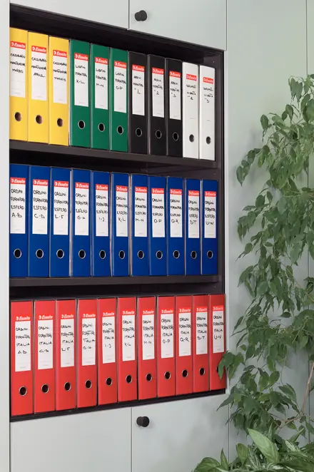 Registratori in plastica con custodia EUROFILE - F.to Protocollo - Dorso 8 cm
