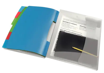 Esselte VIVIDA Divider Book, translucent