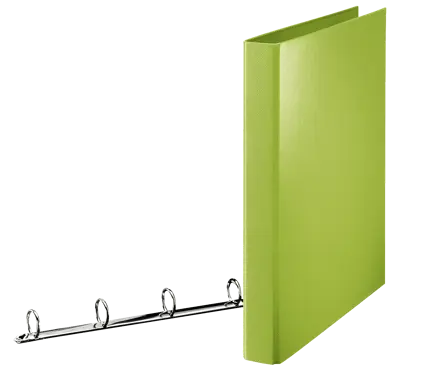Esselte Standard Ringbuch