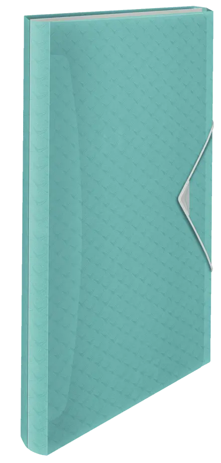 Esselte Colour'Ice Φυσαρμόνικα