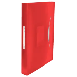 Projektmapp Esselte Vivida PP