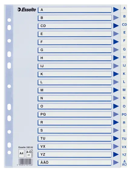 Rekisteri Esselte PP A4 valkoinen