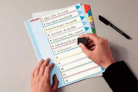 Re-writable rekisteri Esselte Mylar A4+