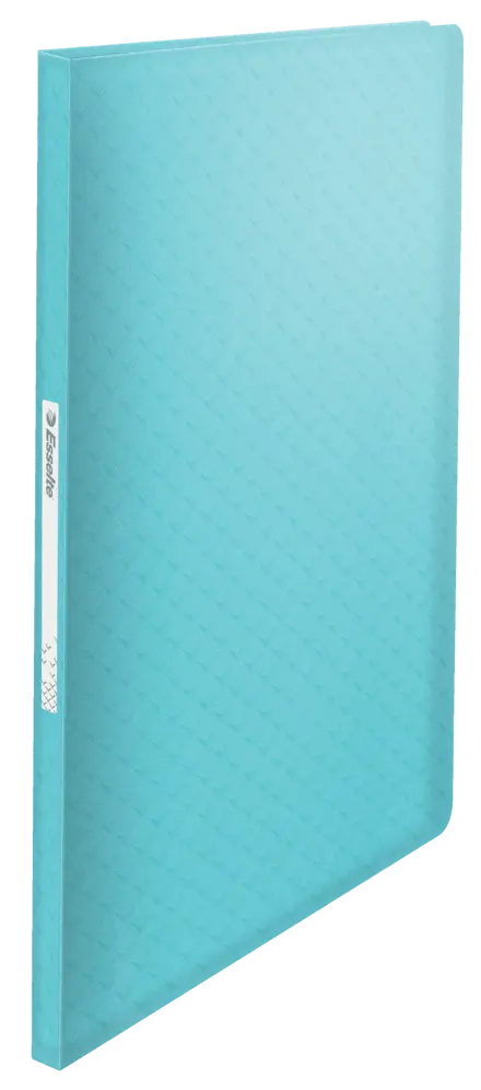 Книга с 60 карманами Esselte Colour'Breeze