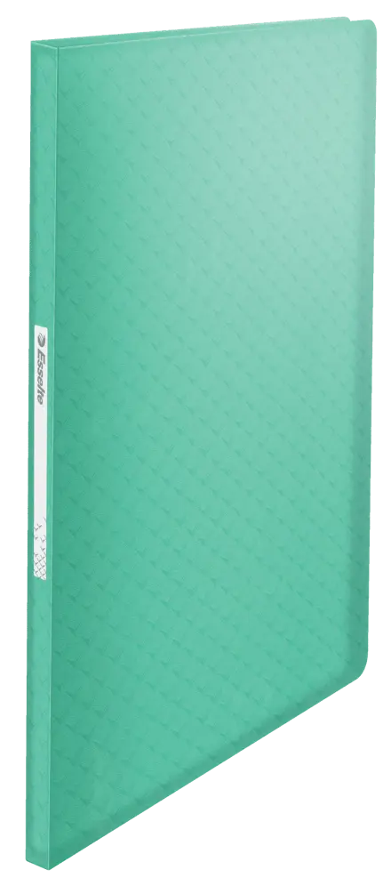 Esselte Colour'Breeze Portalistino 40 buste