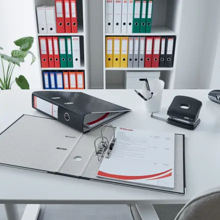 Esselte Lever Arch File Economy A4