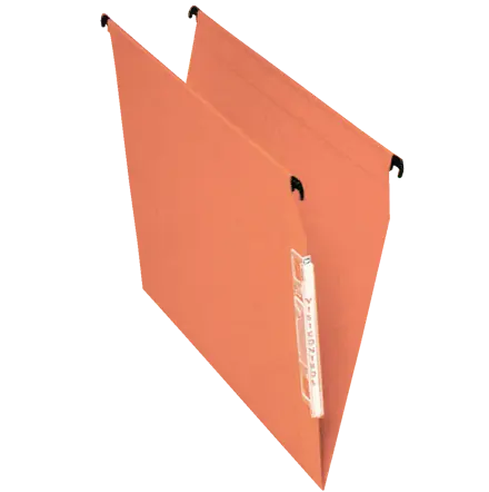 Visicontrol