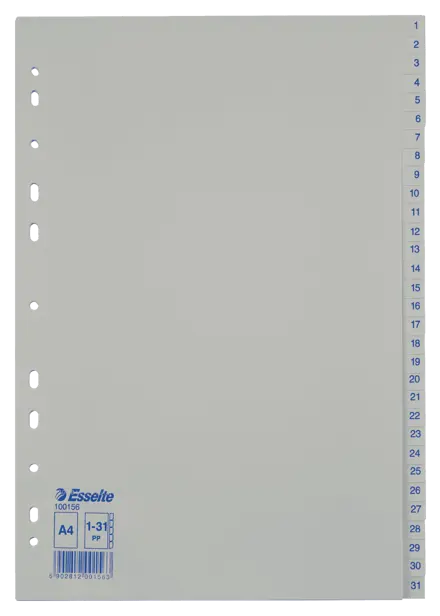 Intercalaires Esselte, en PP, A4
