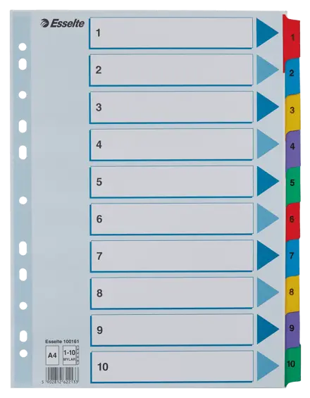 Intercalaire Esselte, en Carton avec onglets renforcés en Mylar, A4