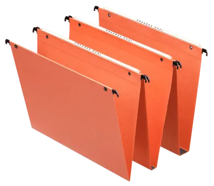 Dossier suspendu Vertical Esselte Orgarex Dual