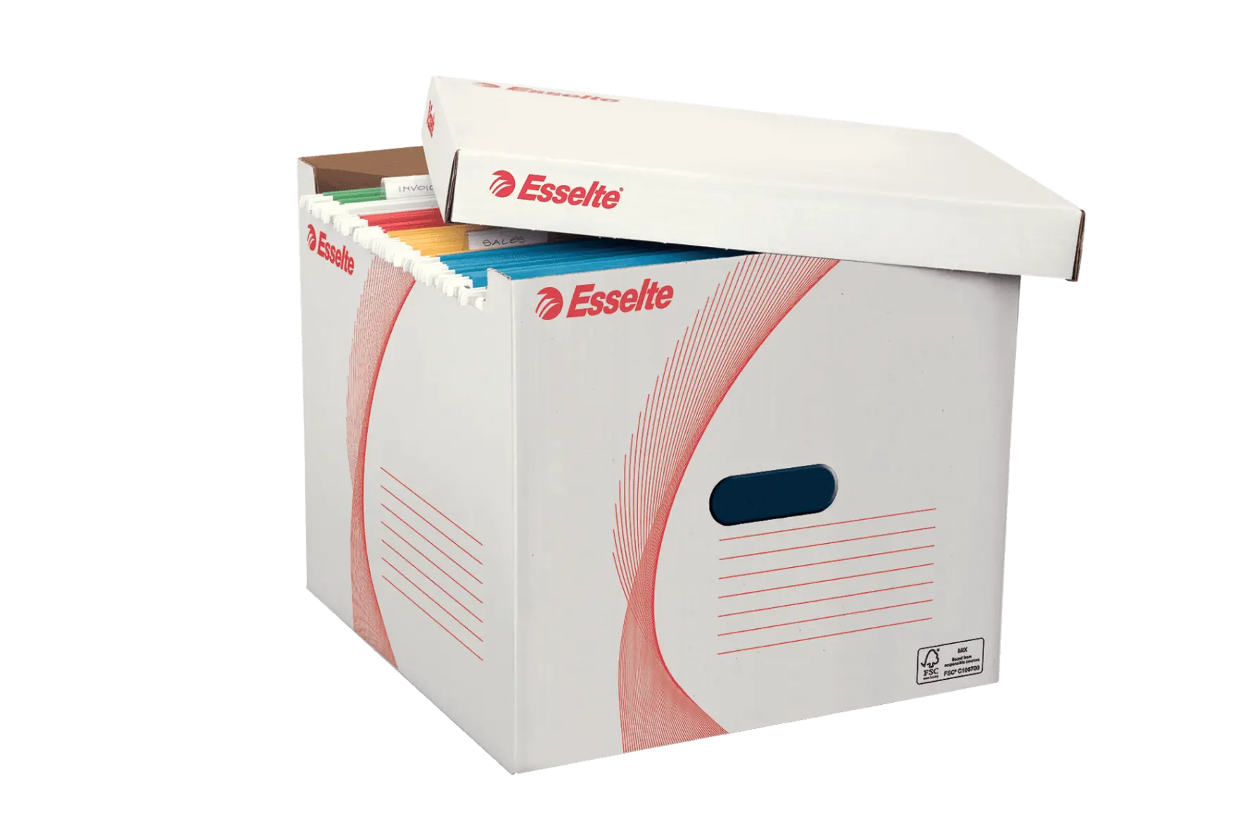Archiving Box Suspension Files Box Esselte FSC® Archive Storage Boxes