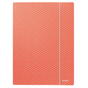 Esselte Colour'Breeze karton gumis mappa - Minőségi, A4 méretű mappa iskolai vagy otthoni használatra jegyzetek, projektek és füzetek tárolására. Friss és modern dizájn.
