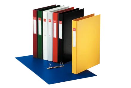 Raccoglitore in plastica ad anelli Esselte Standard con portaetichetta 2-25-Tondo - f.to A4