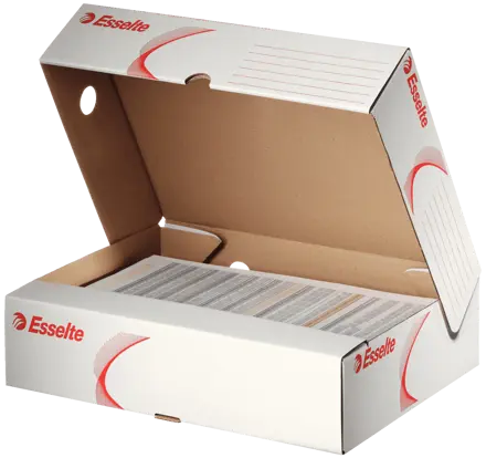 Esselte Standard Archiv-Klappschachtel A4