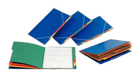 Esselte Rainbow sorteermap karton