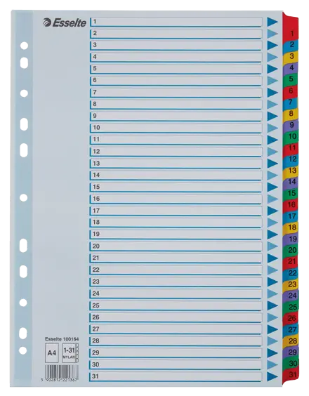 Intercalaires A4 Durable 31 Onglets Numérotés 1-31 - Lot De 10 - Perforation Universelle - 120 Microns Gris