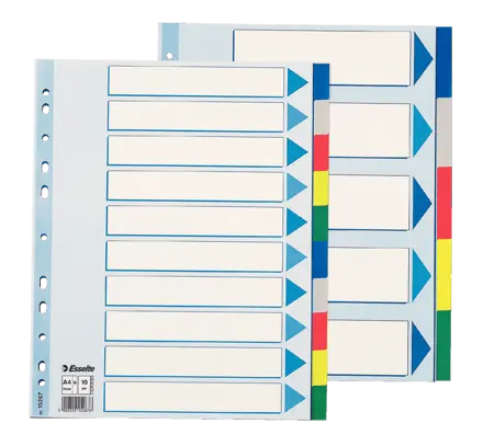 Faneblad Esselte PP A4 maxi