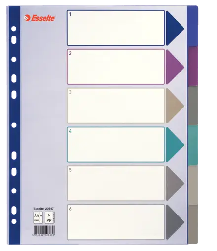 Divider Esselte PP A4+ 6 Tabs