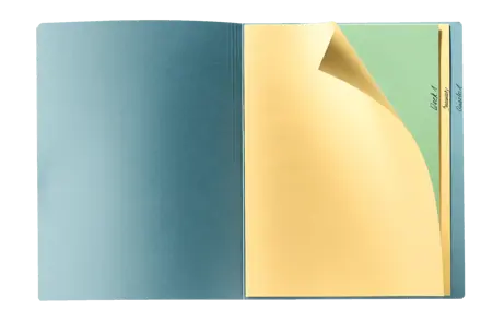 Chemises en papier Esselte, sachet de 50