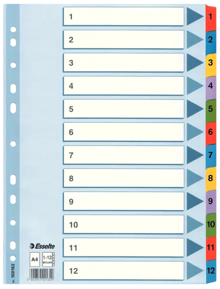 Esselte Index, Cardboard with Mylar reinforced tabs, A4