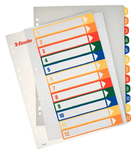 Celoplastové registre Esselte popisovateľné na počítači A4 Maxi