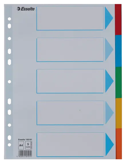 Kartonkihakemisto Esselte A4