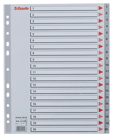 Register Esselte PP A4 maxi grå