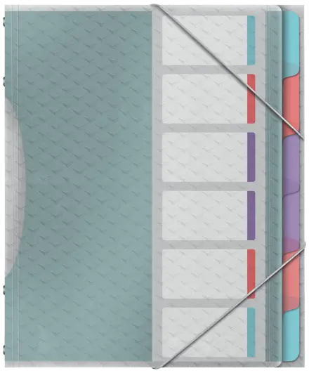 Esselte Colour'Breeze Esijärjestin PP 6 välilehteä
