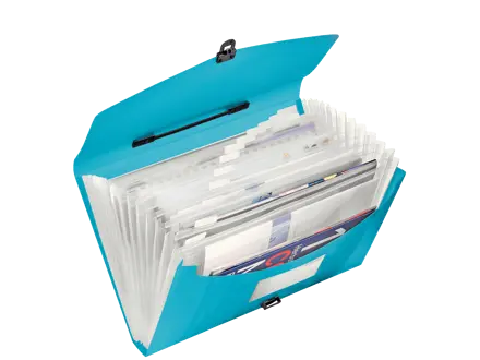 VIVIDA Concertina 13 scomparti - 350 fogli