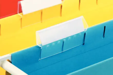 Esselte Classic label holders and Labels for Suspension Files ...