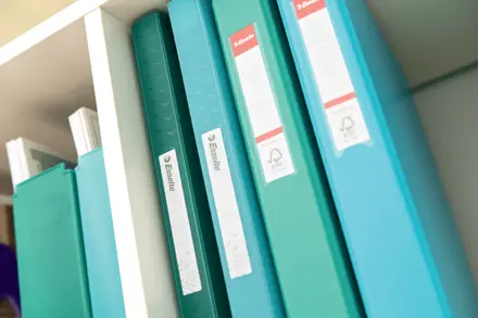 Esselte Colour'Breeze Display Book with 80 pockets