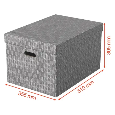 Esselte Home Storage Box Large, Pack of 3