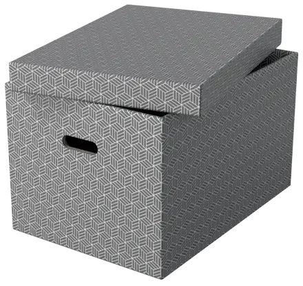 Esselte Home Storage Box Large, Pack of 3