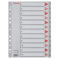 Esselte Leitz 16520085 Dividers A4 Cardboard Coloured Print Grey