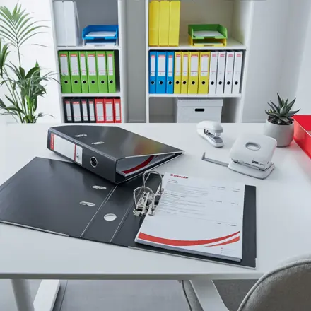 Esselte No.1 VIVIDA Lever Arch File PP