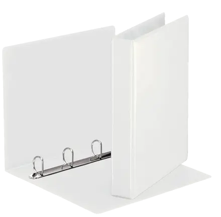 Esselte Panorama Ring Binders A4 2 x 25mm